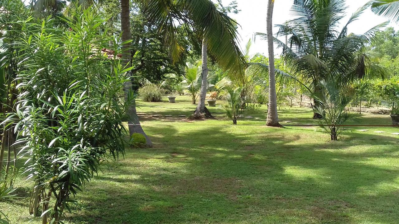 Chillenjoy Cabanas & Restaurant Tangalle Extérieur photo