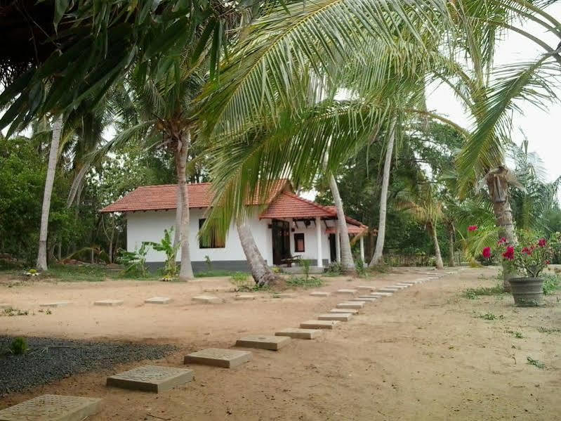 Chillenjoy Cabanas & Restaurant Tangalle Extérieur photo