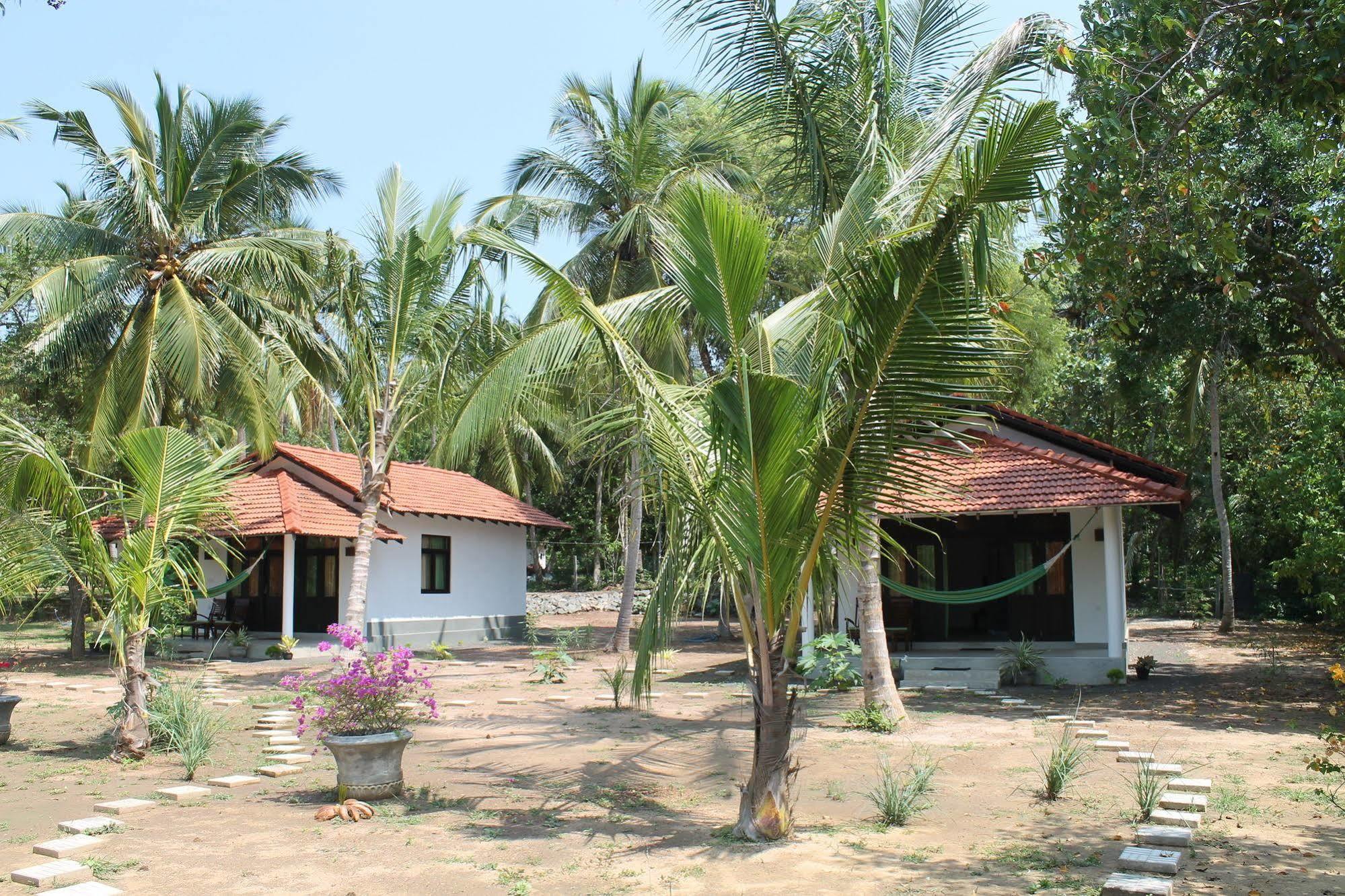 Chillenjoy Cabanas & Restaurant Tangalle Extérieur photo
