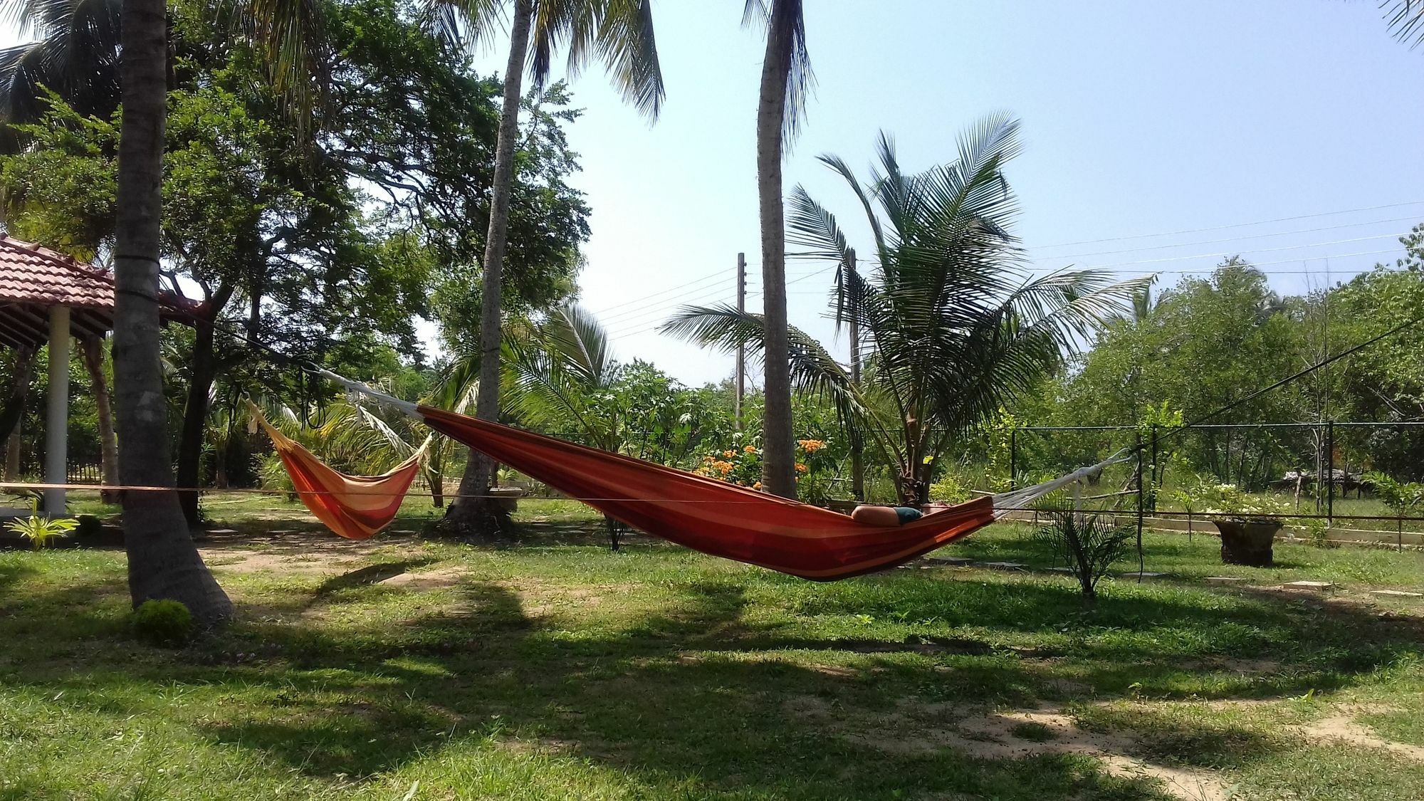Chillenjoy Cabanas & Restaurant Tangalle Extérieur photo